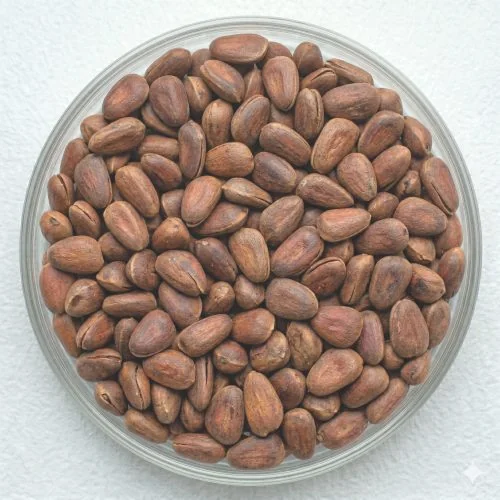 Pine nut shells Extract