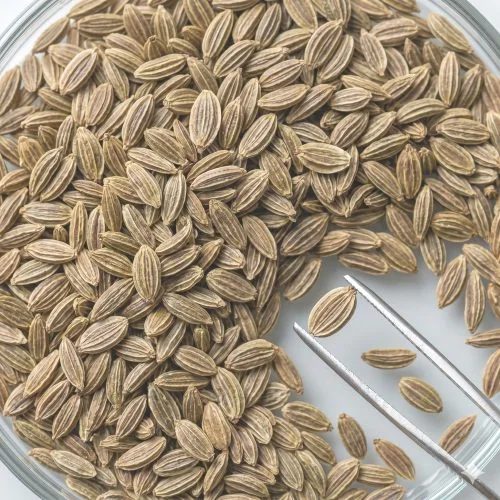 Dill seed Extract (Total extract)