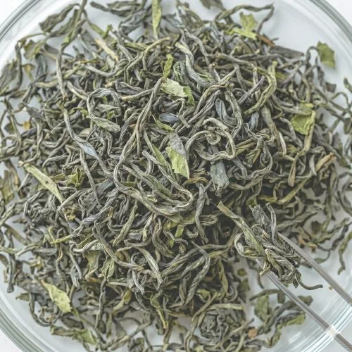 Green Tea Extract