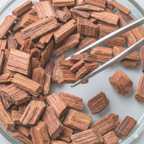 Lebanon cedar Extract