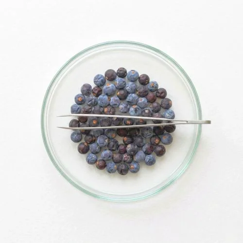 Juniper berry Extract (>50% alpha-pinene)