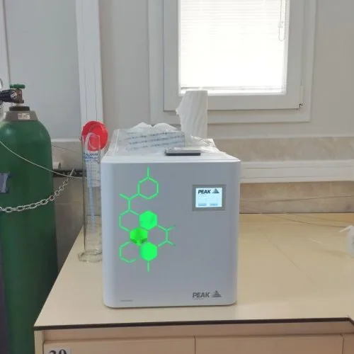 Gas generator feeding the chromatographs